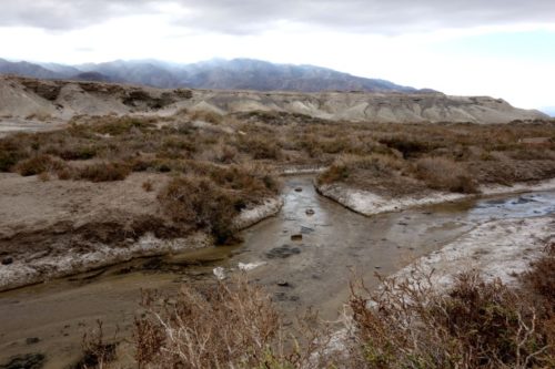 Salt Creek
