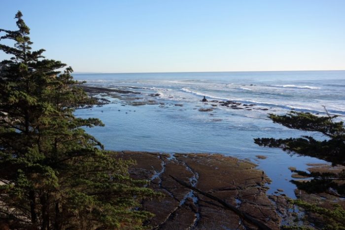 tidal pools at half moon bay