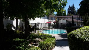 Der Pool