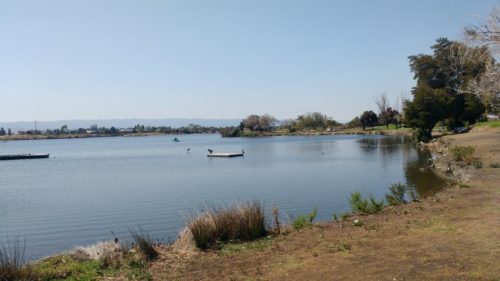 Am Shoreline Lake kann man Tretbootfahren, Windsurfen, Segeln oder, so wie ich, einfach nur sein Mittagessen picknicken