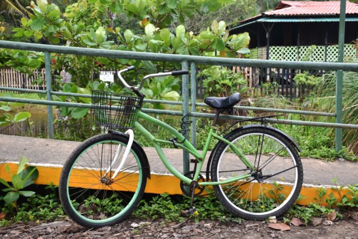 From Puerto Viejo by bike to Manzanillo