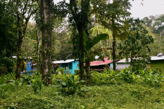 Puerto Viejo, Costa Rica, Caribbean